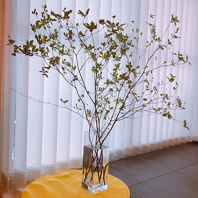 ZEFFAR_HOMEさんの実例写真
