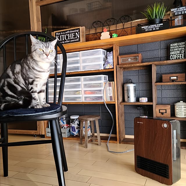 lovepeaceさんの部屋