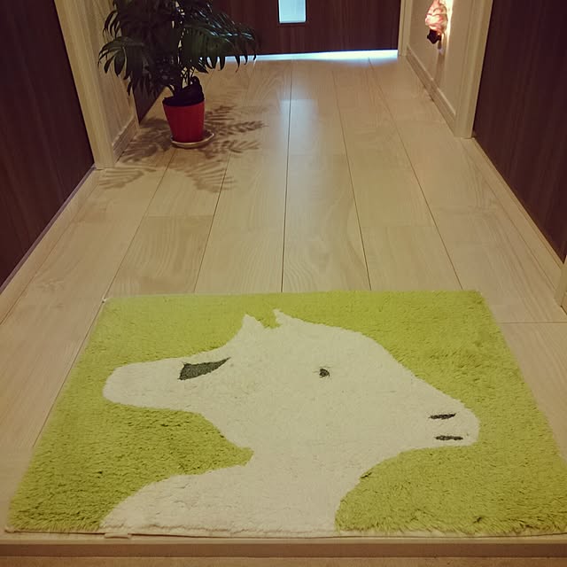 ikemenshunさんの実例写真