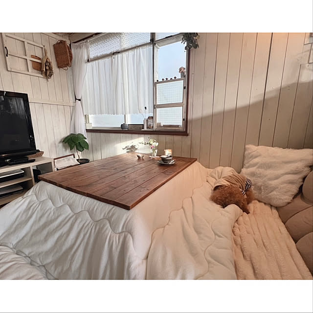 rookuさんのお部屋の写真