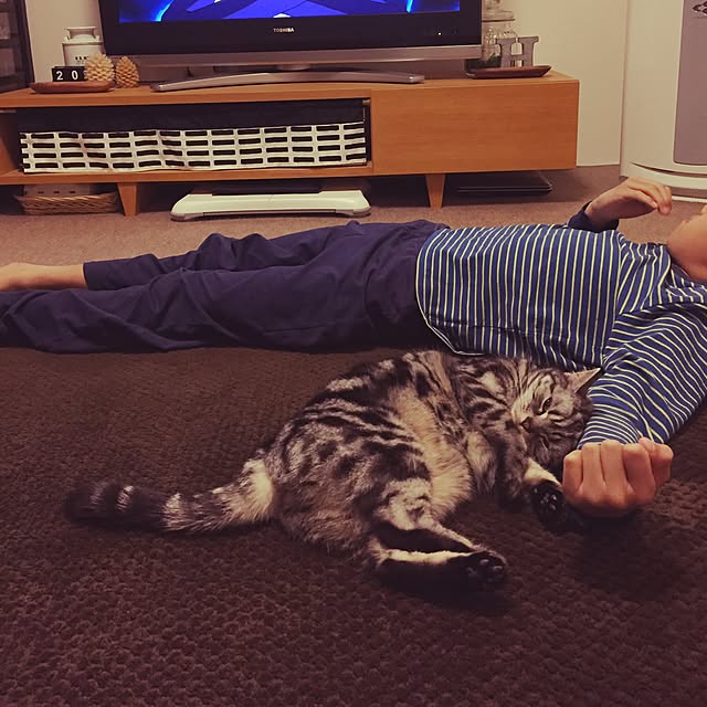 hiyupan88さんの実例写真
