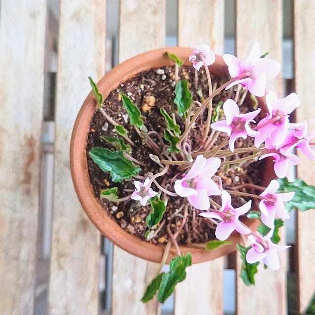 YuriYuriさんの部屋