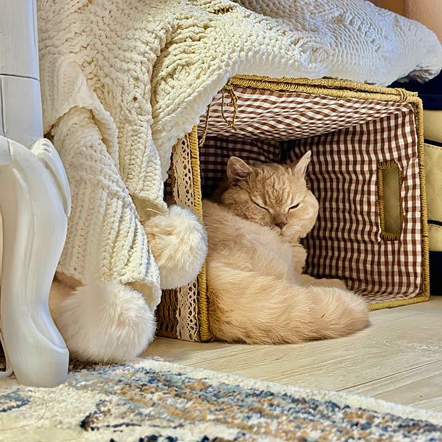 naokoさんの部屋