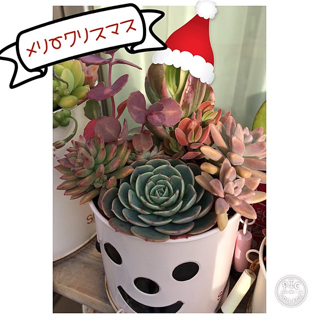 moriさんの実例写真