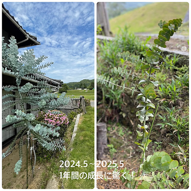 buchiさんの部屋