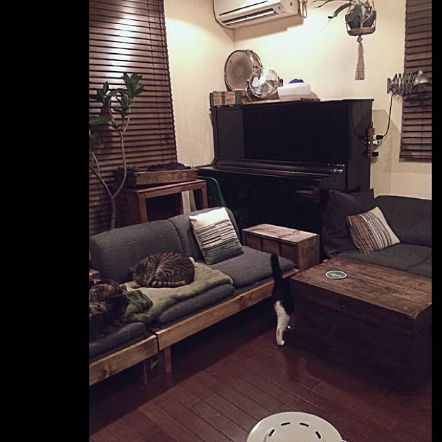 jnkaiさんの実例写真