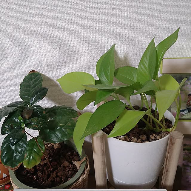 happytearsさんの部屋