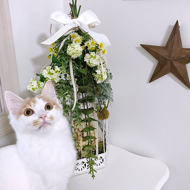 yuchiさんの実例写真