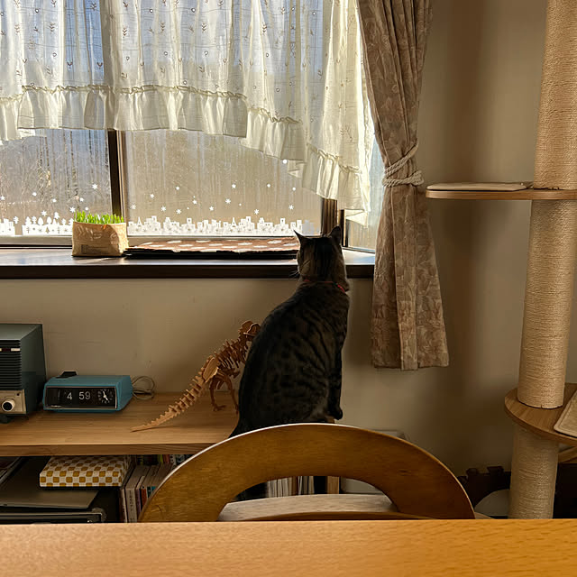 kuzumeganeさんの実例写真