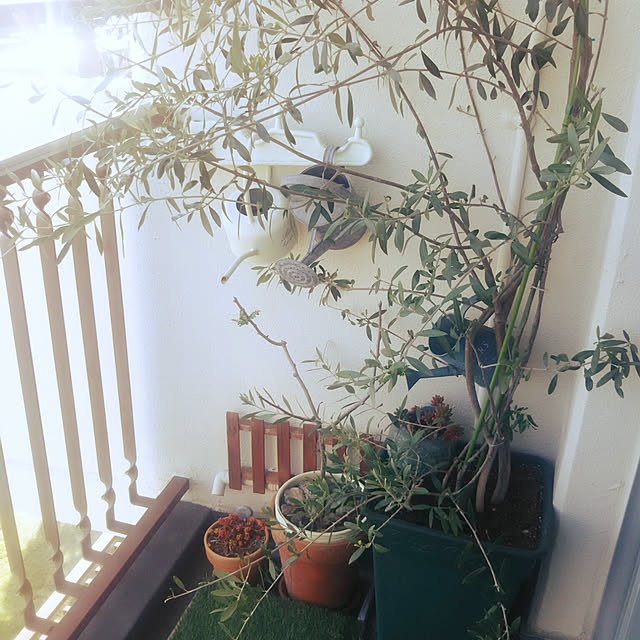 naturalmintさんの実例写真
