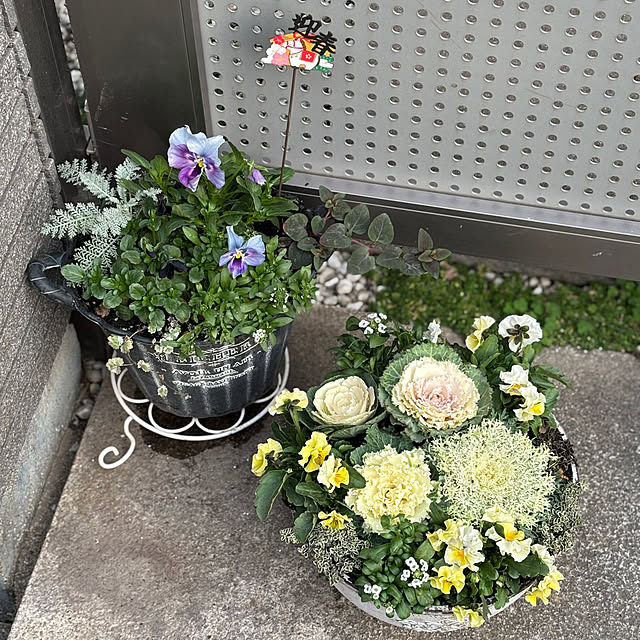 maayaさんの部屋