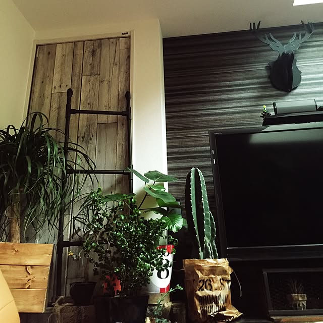milimiliさんの実例写真