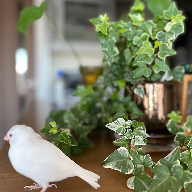 sumireさんの部屋