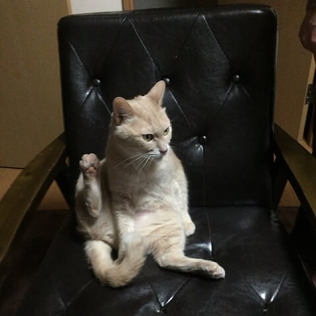 mikan161さんの実例写真
