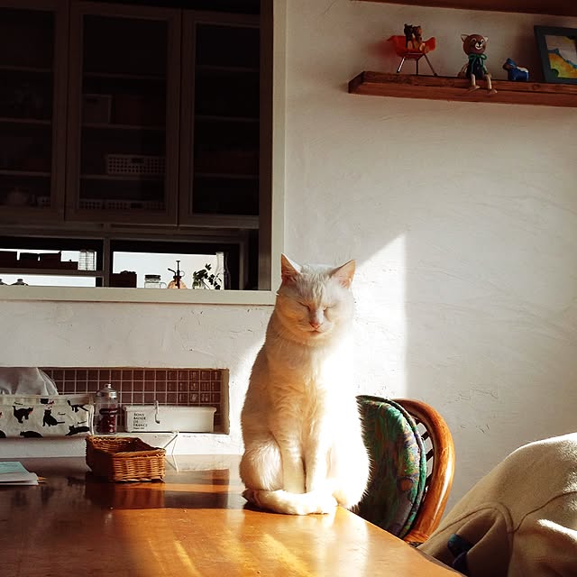 Kinanさんの実例写真