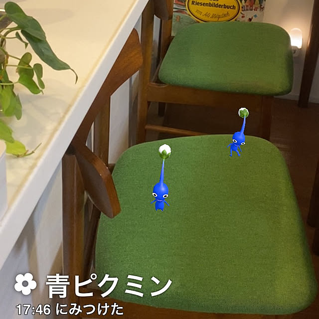 saorinさんの実例写真