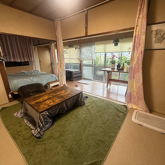 部屋全体/古い平屋/新生活のインテリア実例 - 2025-04-21 11:41:19