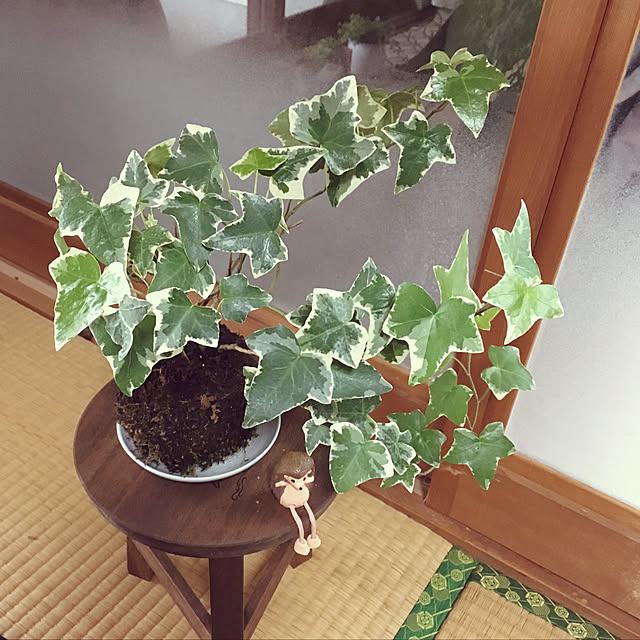sumiccoさんの実例写真
