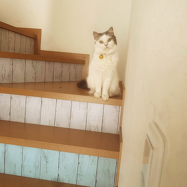 ayuさんの実例写真