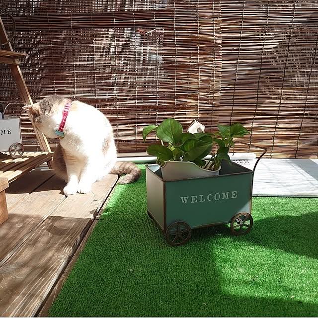 fukuさんの部屋