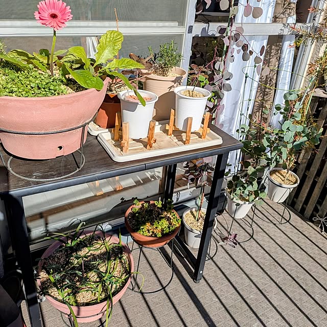 mi-saさんの実例写真