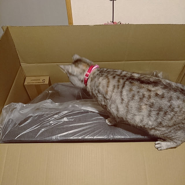 lelielさんの実例写真