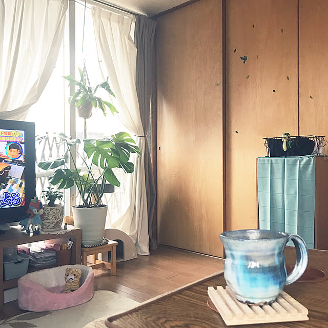 kou-kitiさんの実例写真