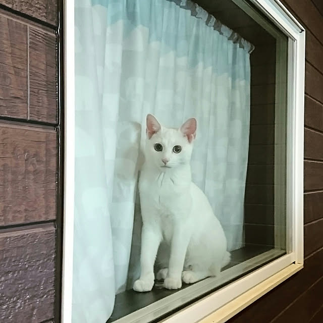 hinataさんの実例写真