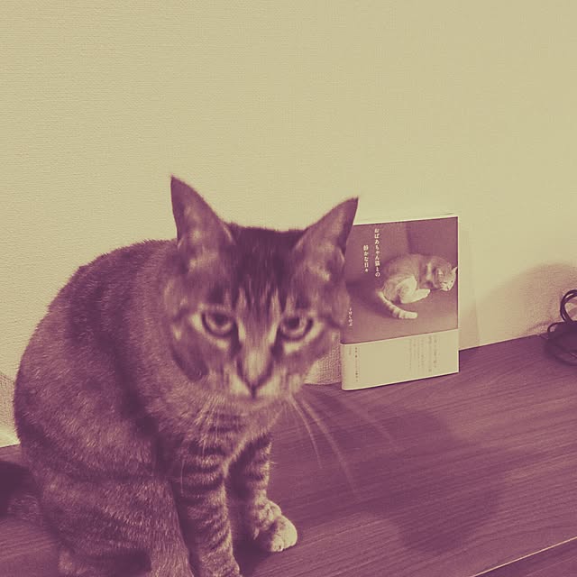 sanagonさんの実例写真