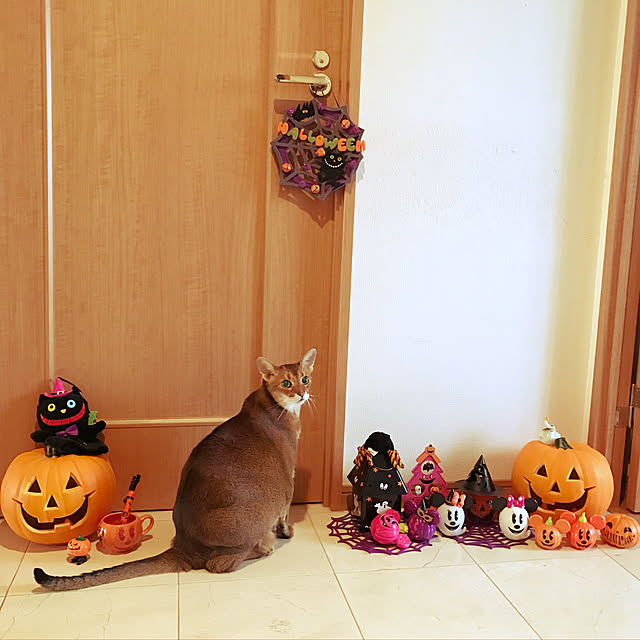aby_nyanさんの実例写真