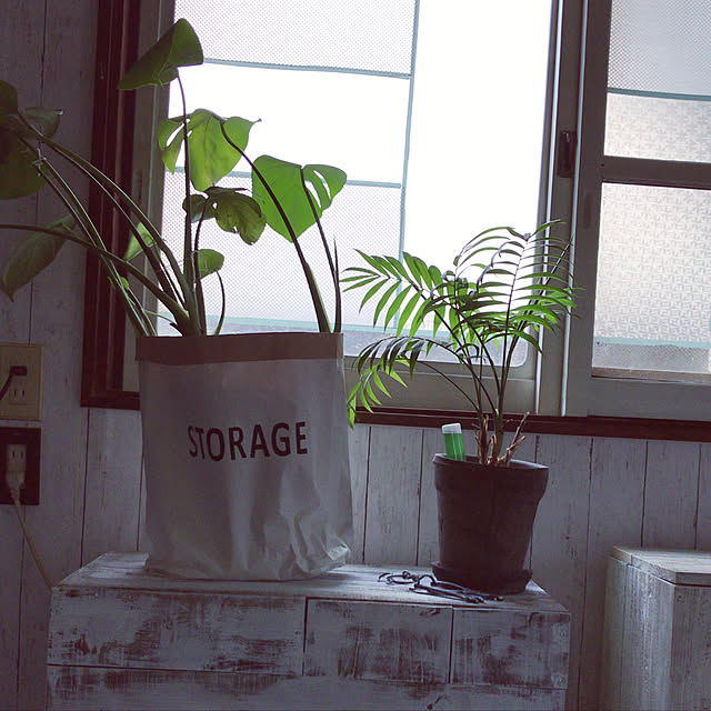 seroriさんの実例写真