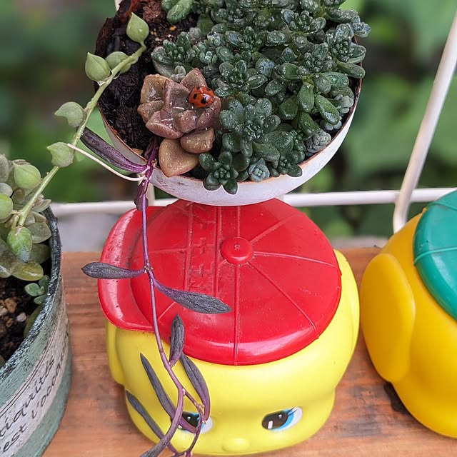 junさんの実例写真