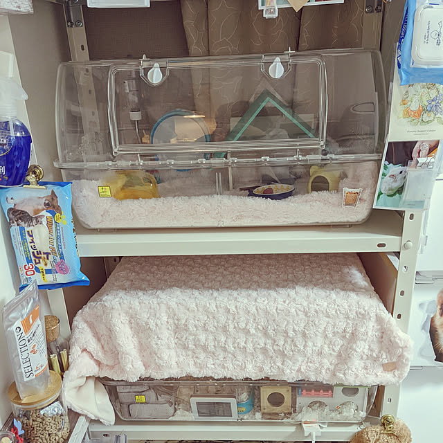 uguuuさんの実例写真