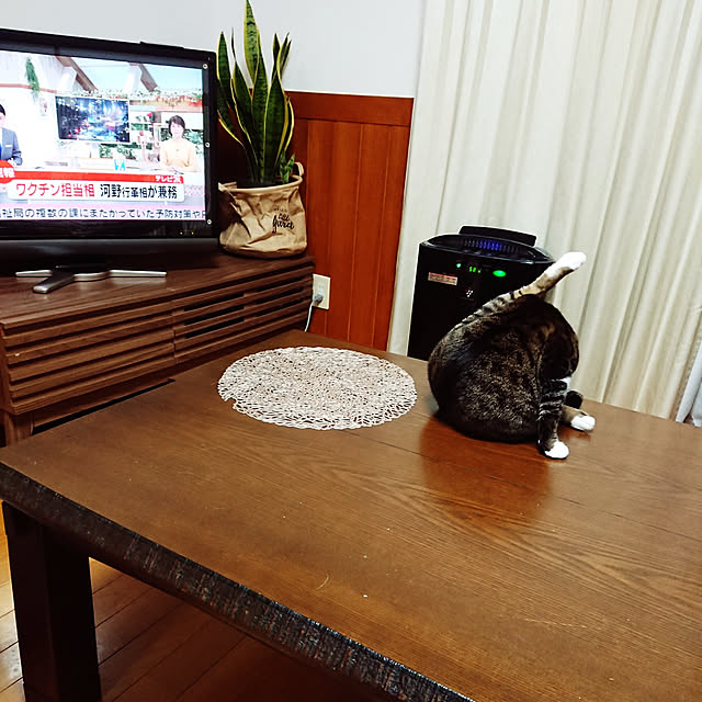 nachiさんの実例写真