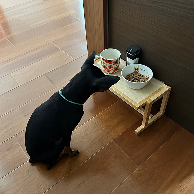 shizuponさんの実例写真
