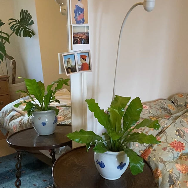 照明/アンティーク/一人暮らし/観葉植物/IKEA...などのインテリア実例 - 2022-12-07 13:36:46