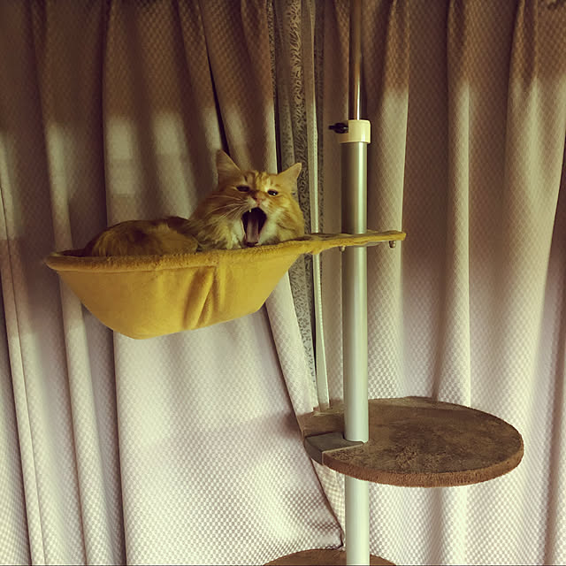 droppyさんの実例写真