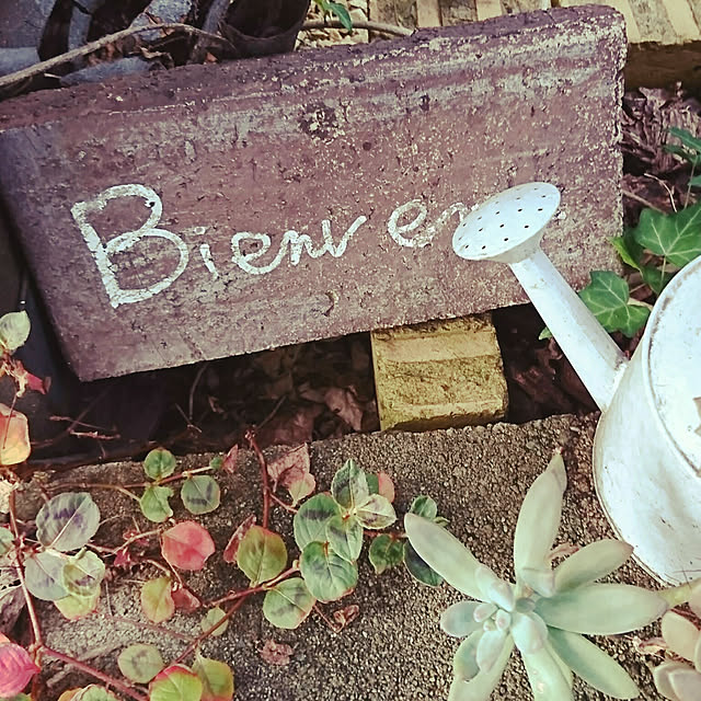 kikurinさんの実例写真