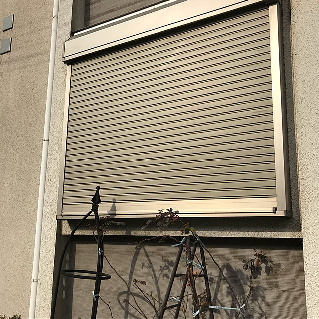 akiyumiさんの実例写真