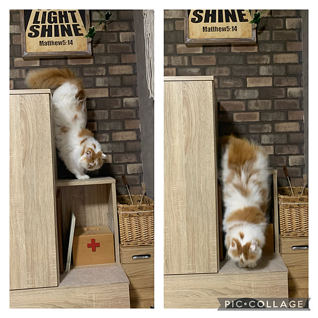 keiさんの実例写真