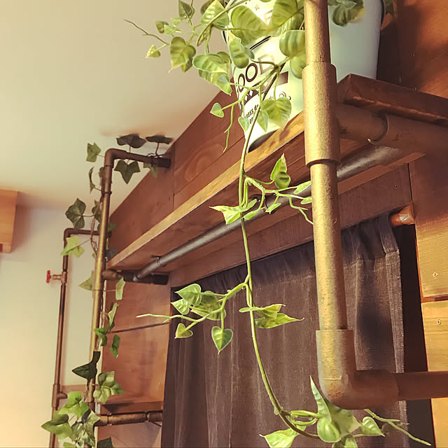 棚/DIY/観葉植物/フェイクグリーン/男前...などのインテリア実例 - 2018-06-22 21:06:29