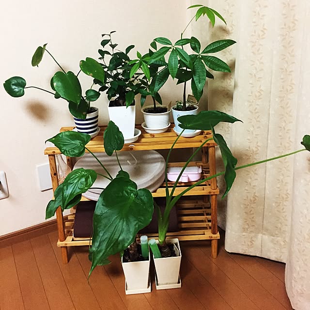 yuiさんの実例写真