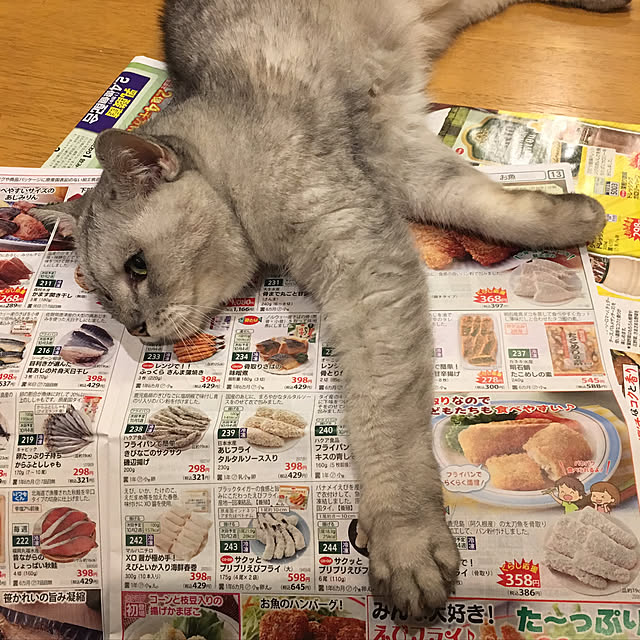 kou-kitiさんの実例写真