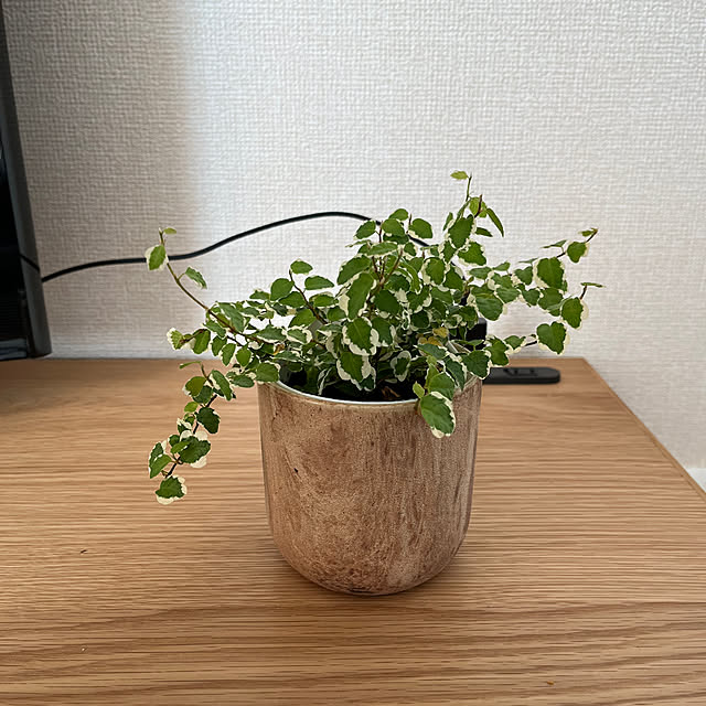 emさんの部屋