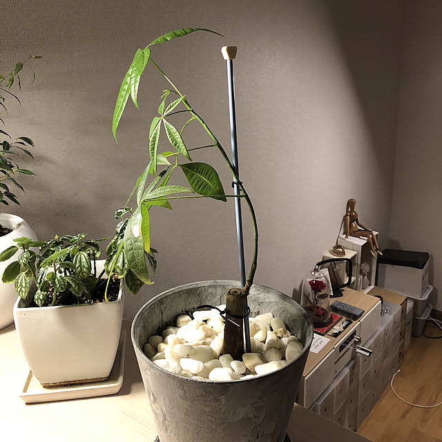 tnさんの実例写真