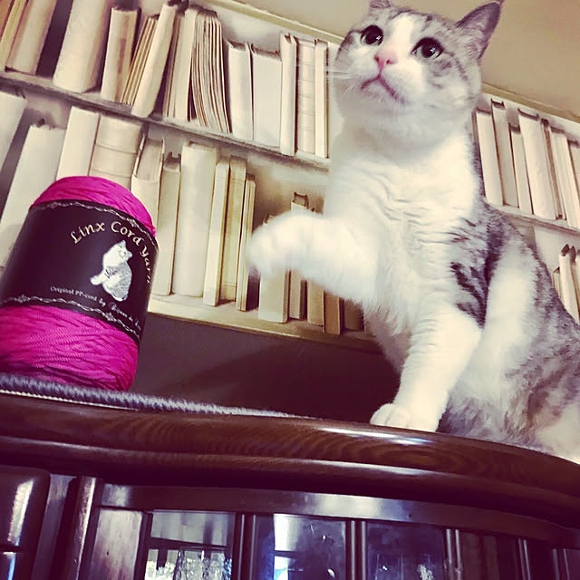 emmyyさんの実例写真