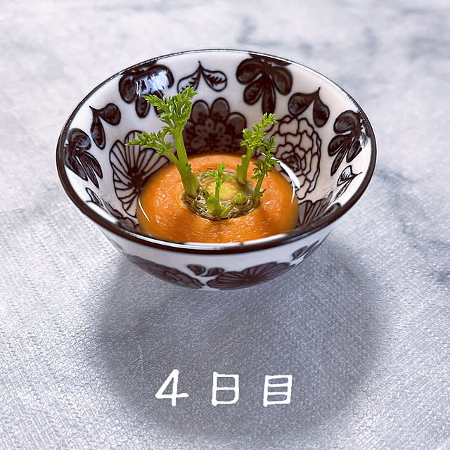 reika111さんの実例写真