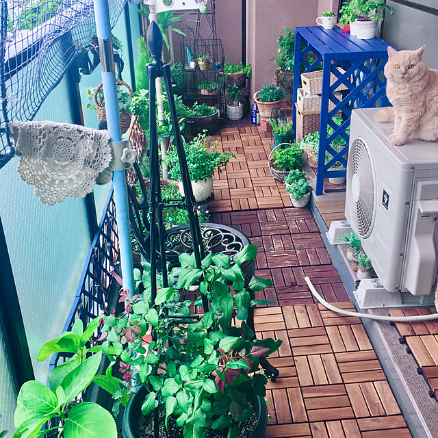 naokoさんの実例写真