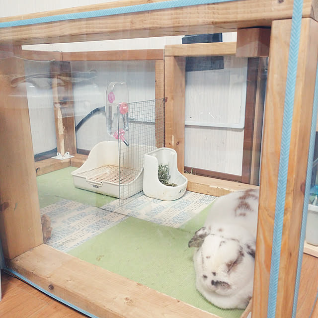 swallowtailさんの実例写真