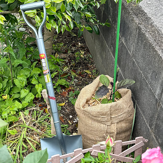 SIELUさんの実例写真